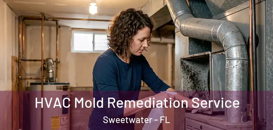 HVAC Mold Remediation Service Sweetwater - FL