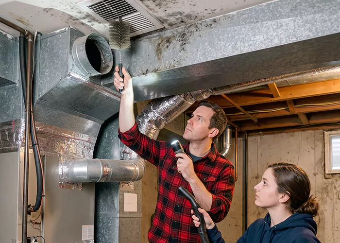 Premier HVAC Mold Remediation Company in Sweetwater