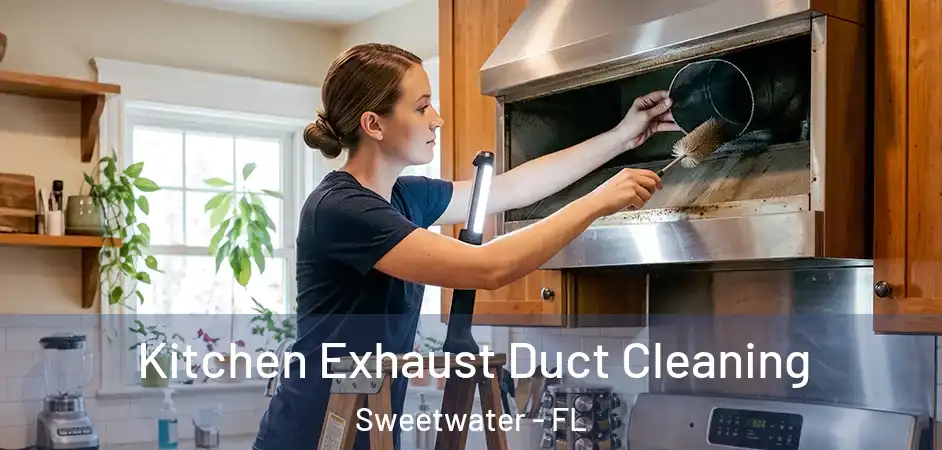 Kitchen Exhaust Duct Cleaning Sweetwater - FL